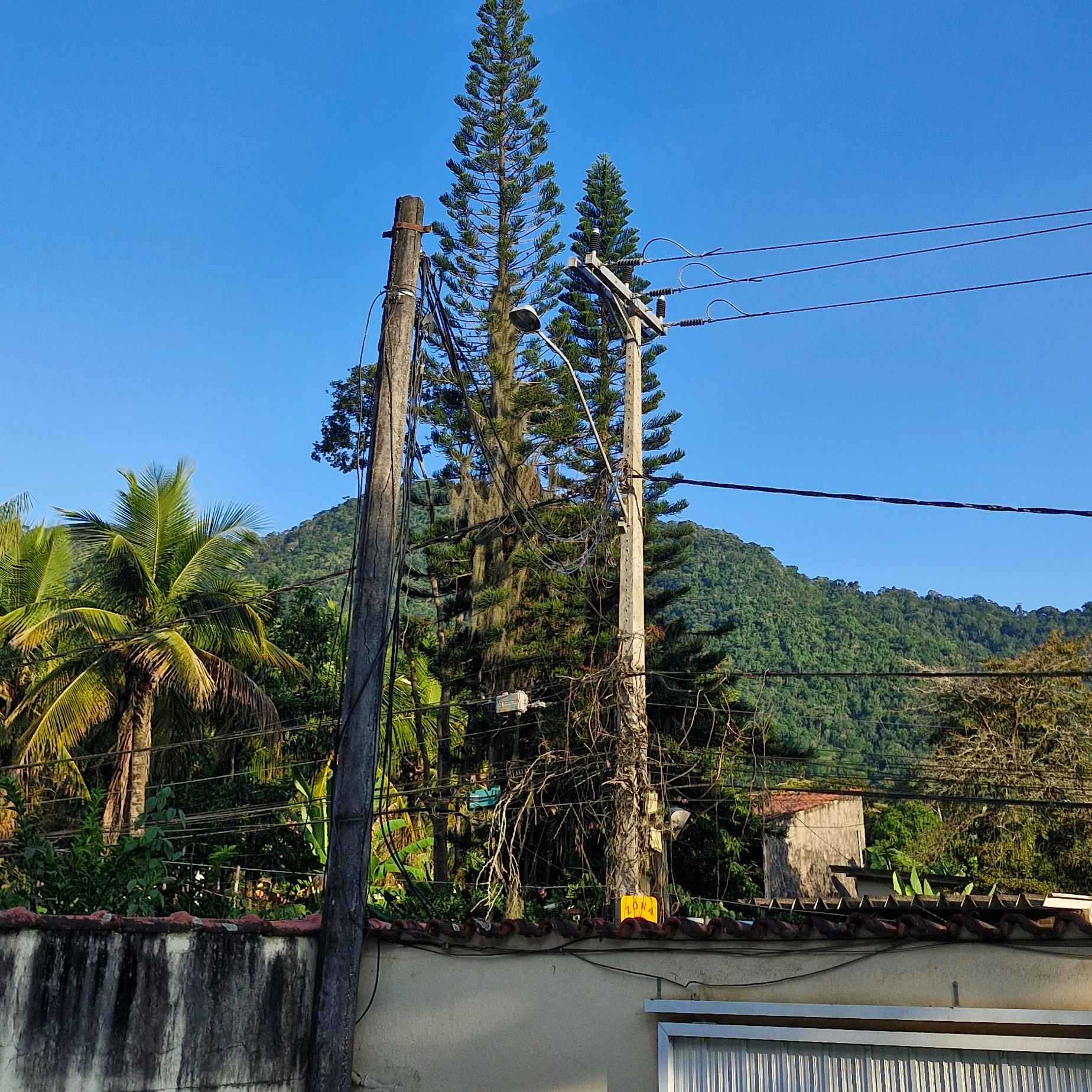 Imagem da publicação