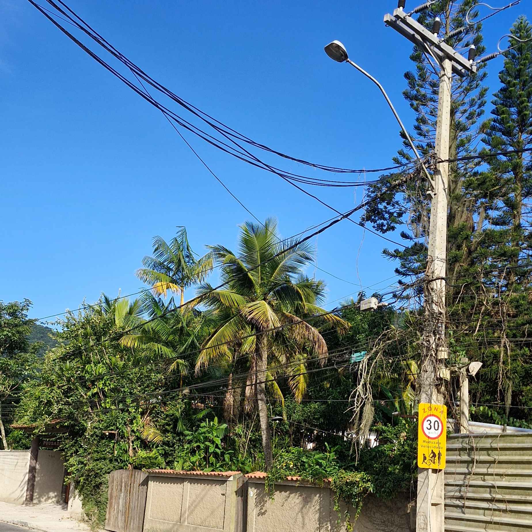 Imagem da publicação