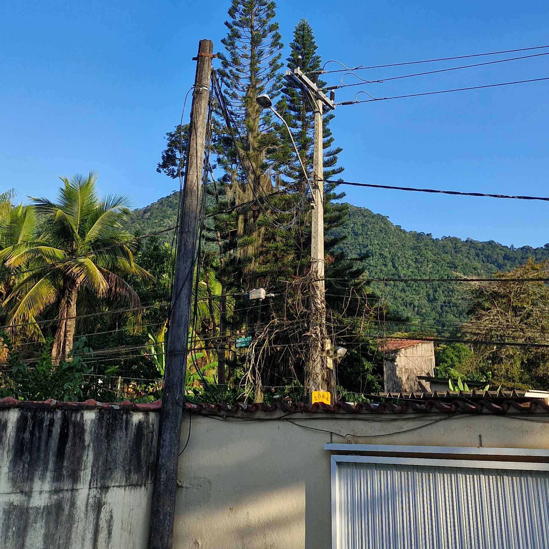 Imagem da publicação