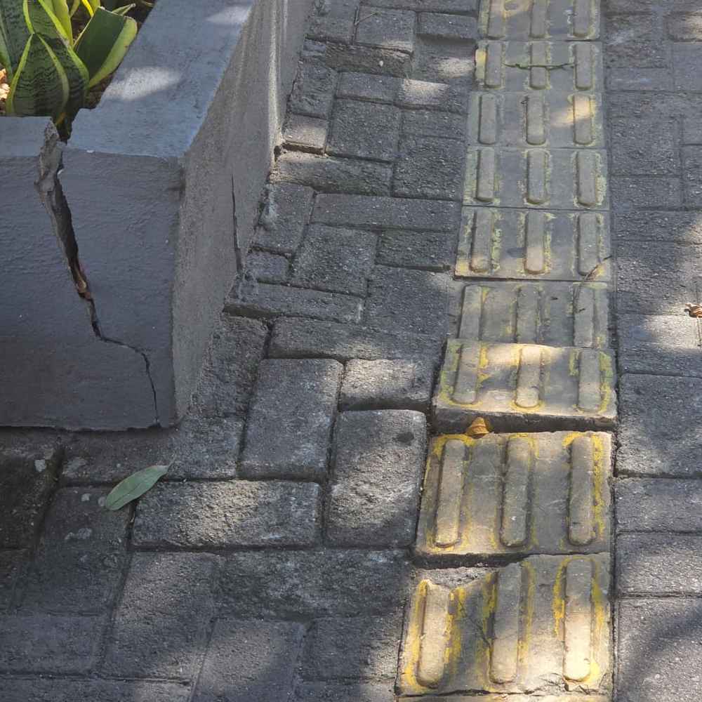 Imagem da publicação