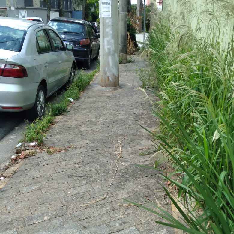 Imagem da publicação