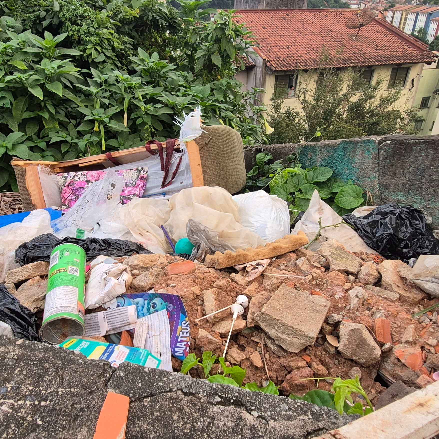 Imagem da publicação