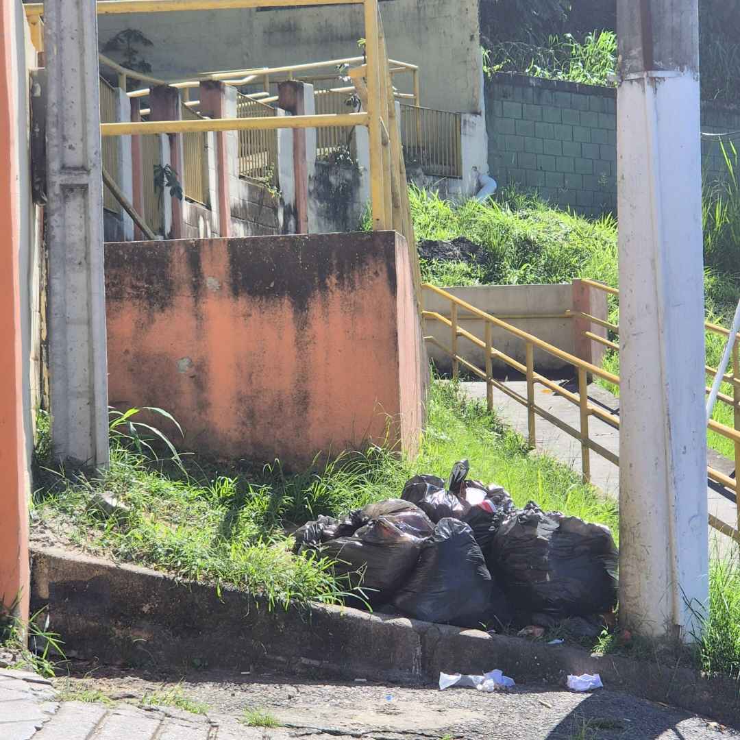 Imagem da publicação