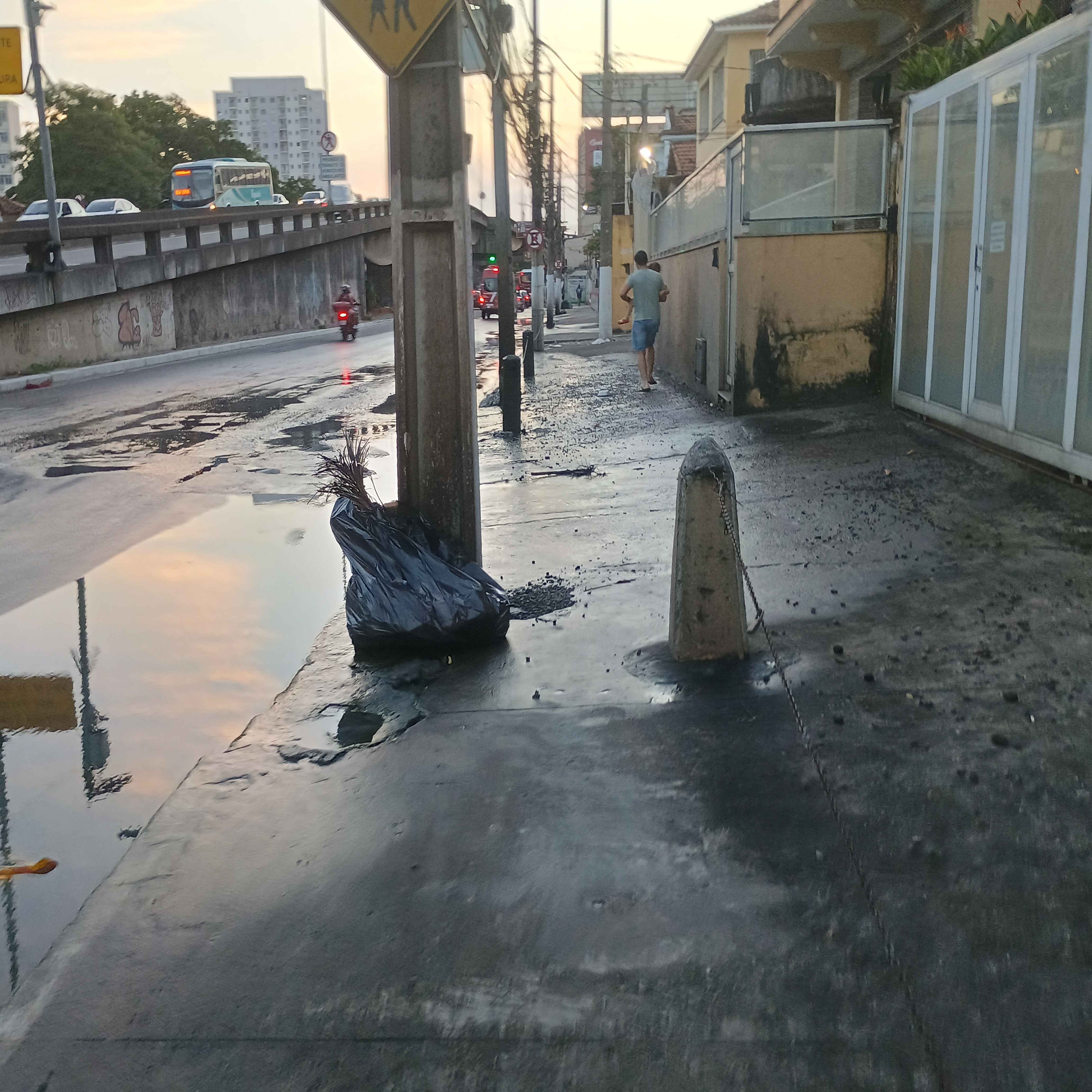 Imagem da publicação