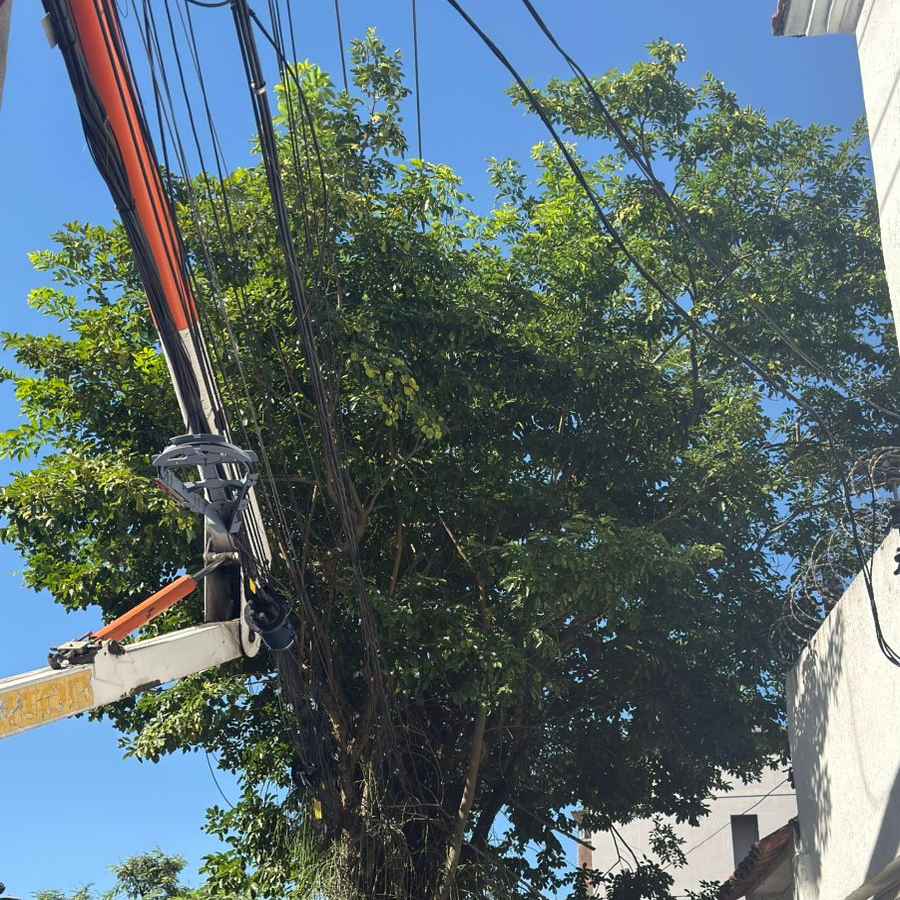 Imagem da publicação