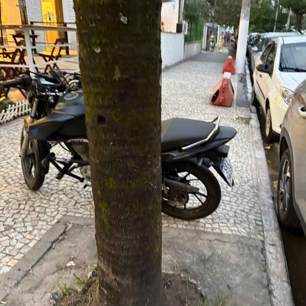 Imagem da publicação