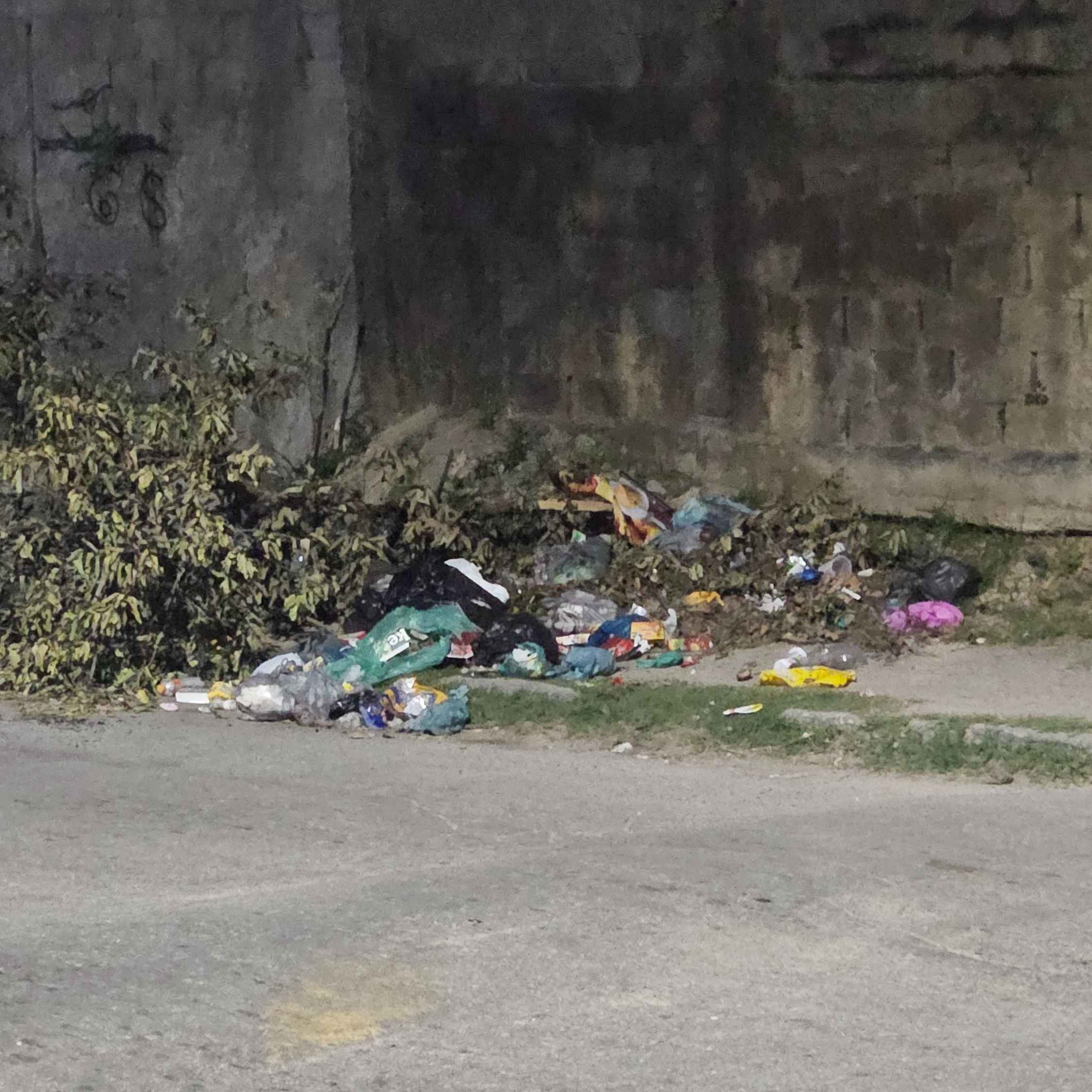 Imagem da publicação