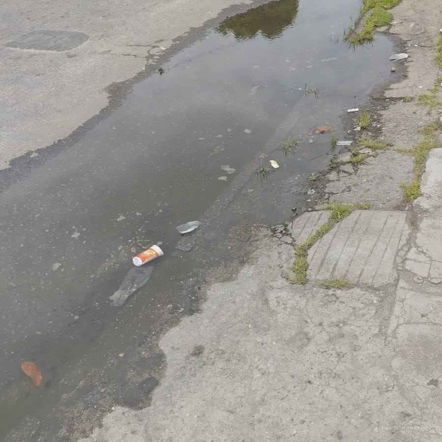 Imagem da publicação