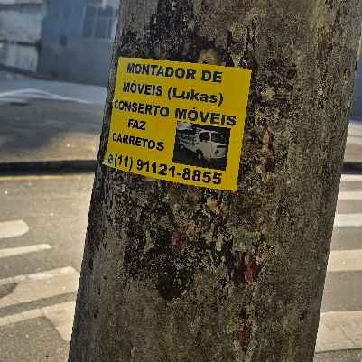 Imagem da publicação