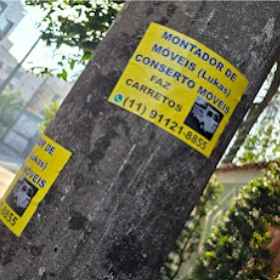 Imagem da publicação