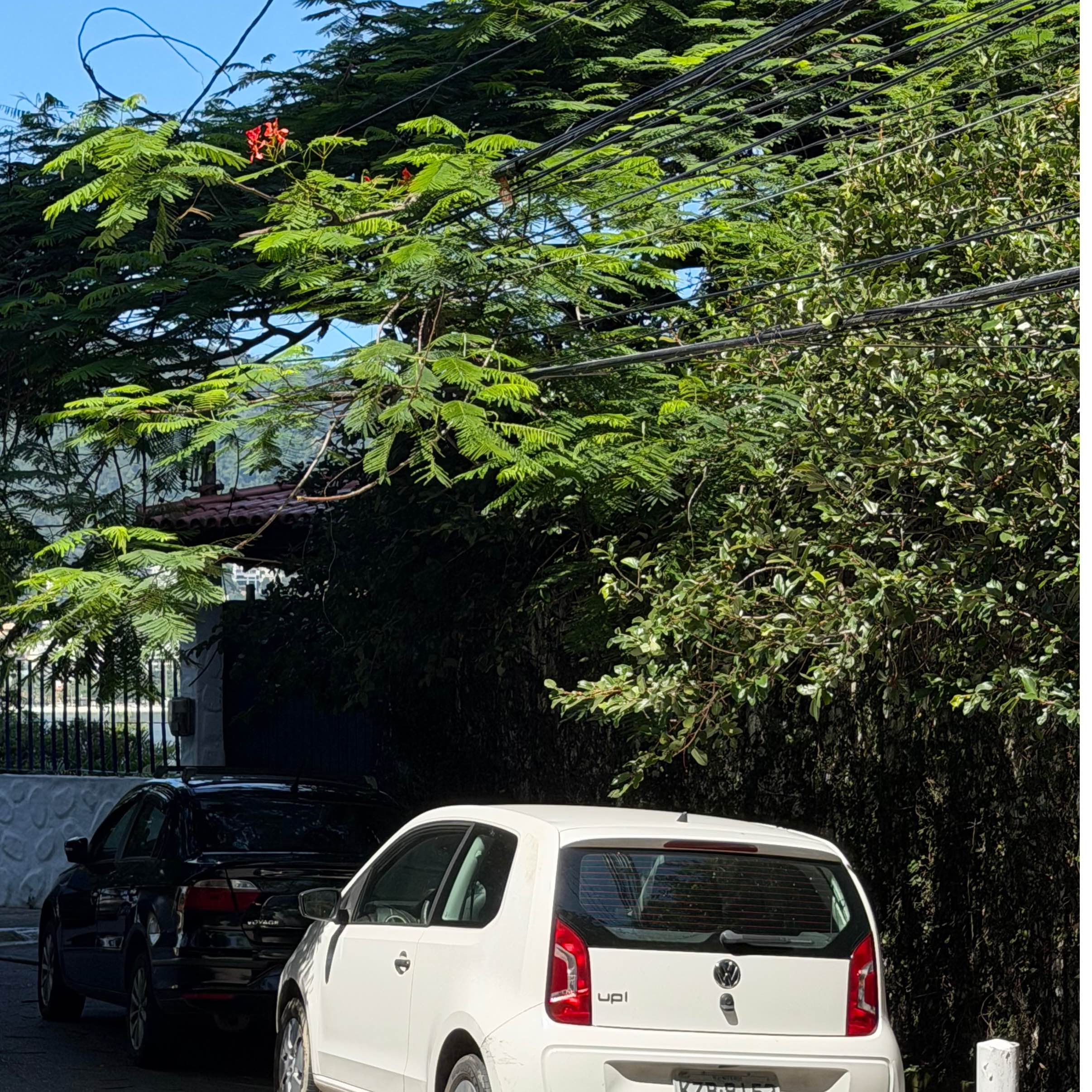 Imagem da publicação