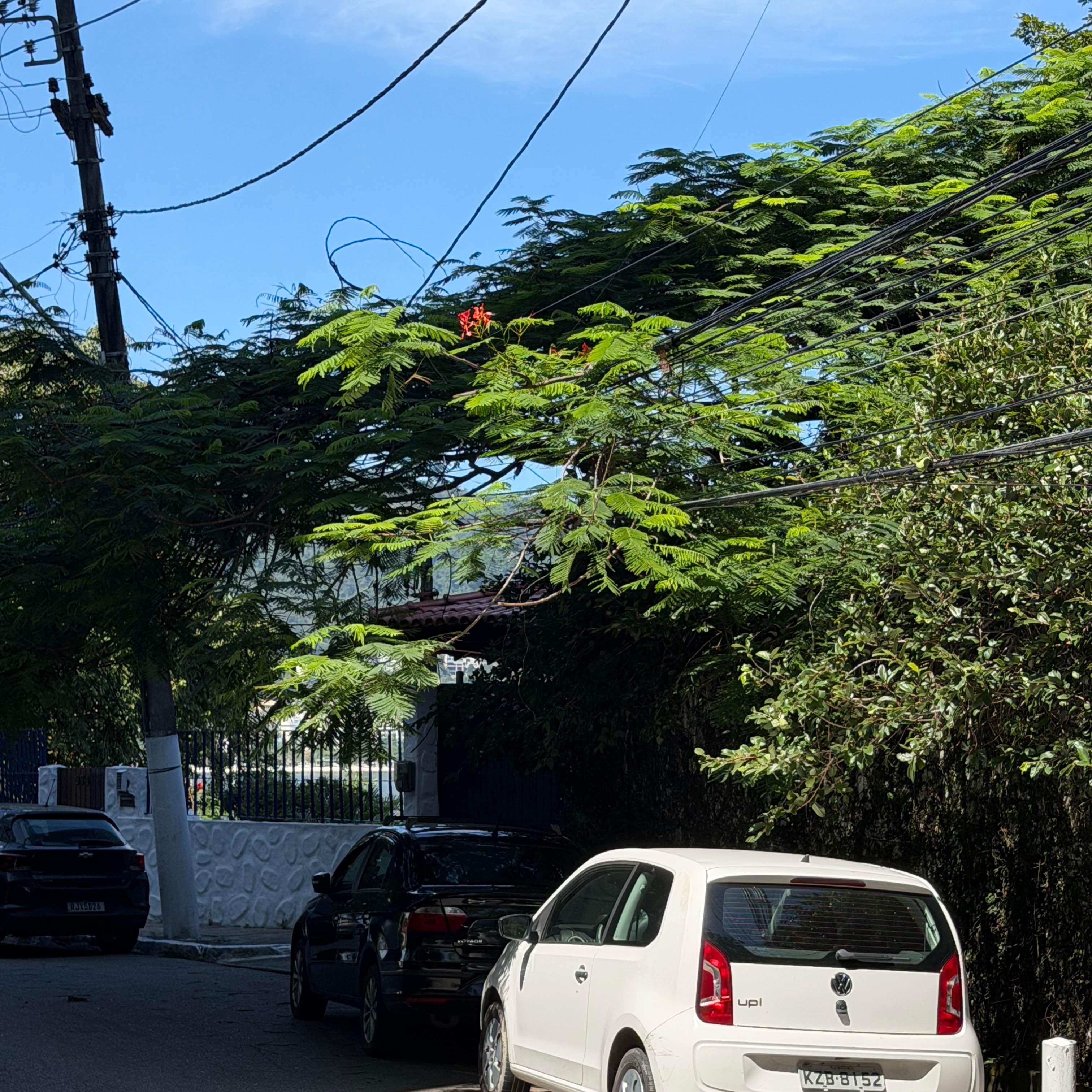 Imagem da publicação