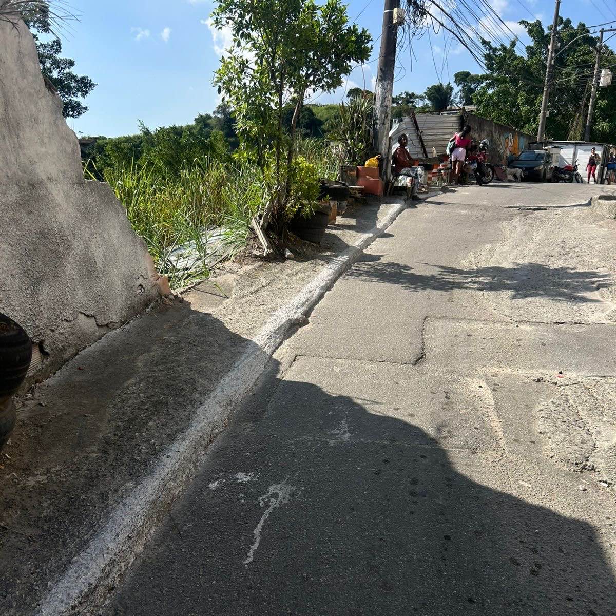 Imagem da publicação