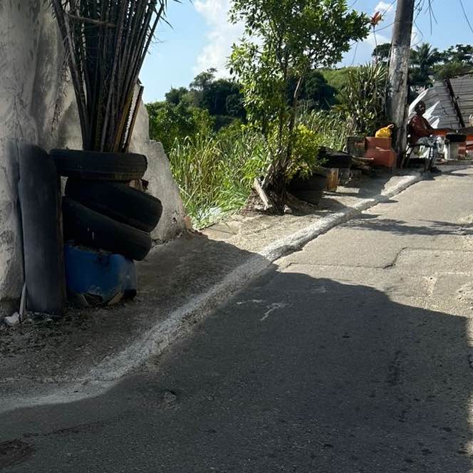 Imagem da publicação