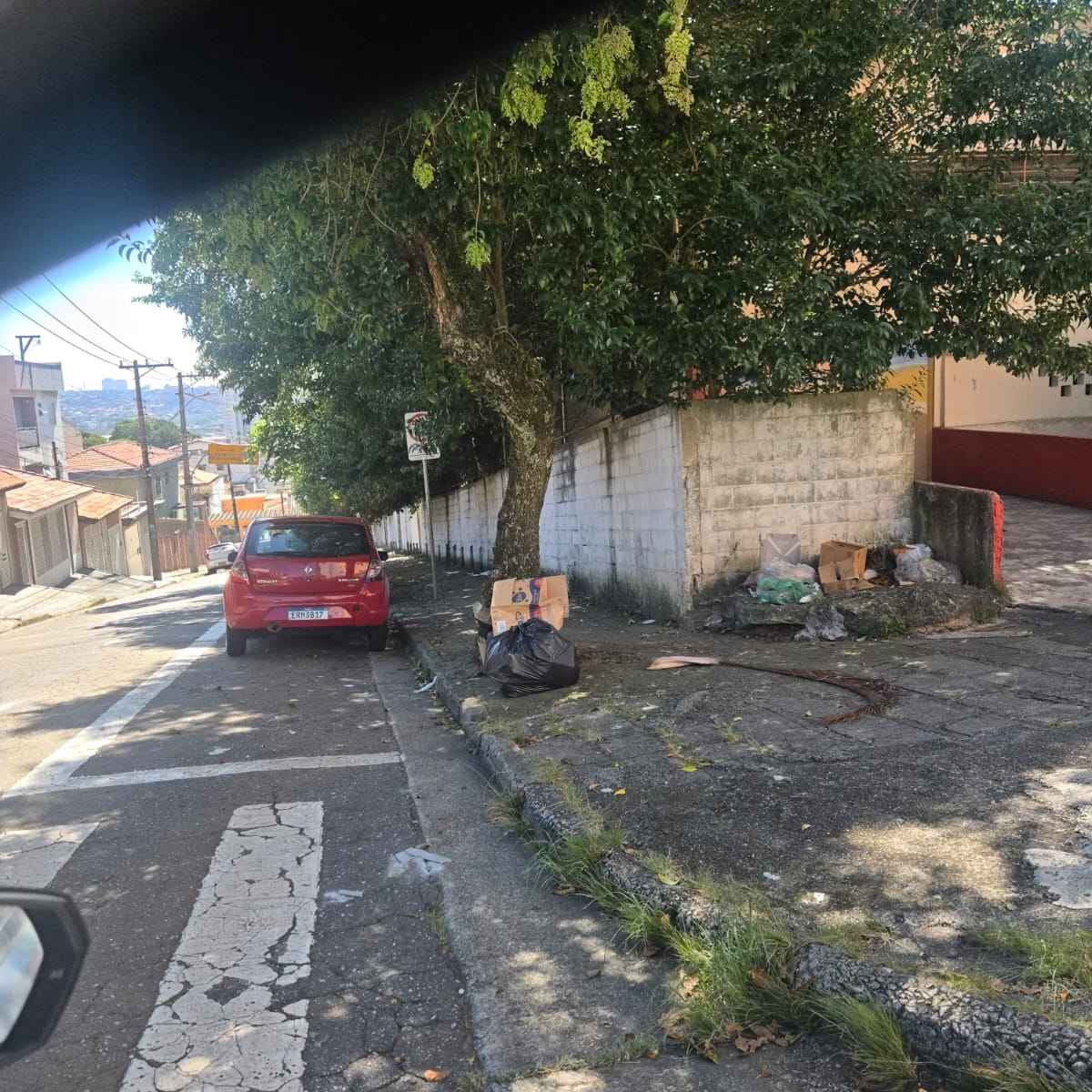 Imagem da publicação