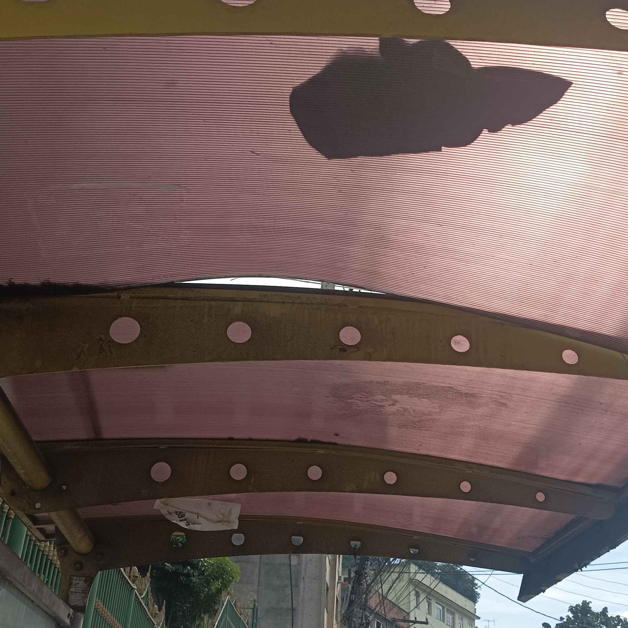 Imagem da publicação