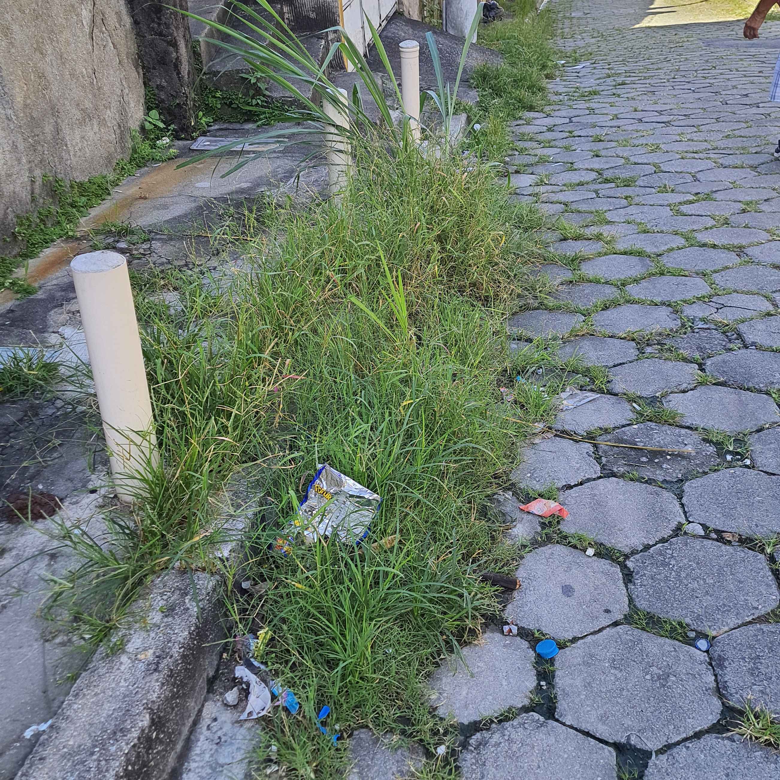 Imagem da publicação