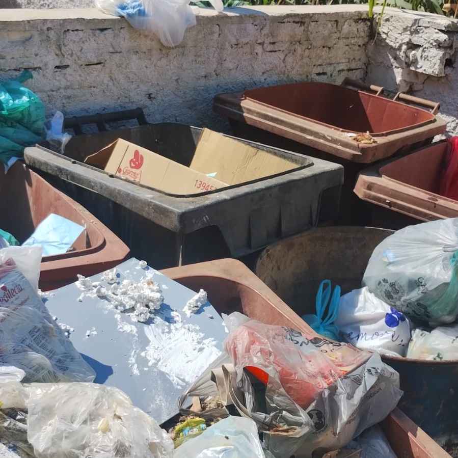 Imagem da publicação