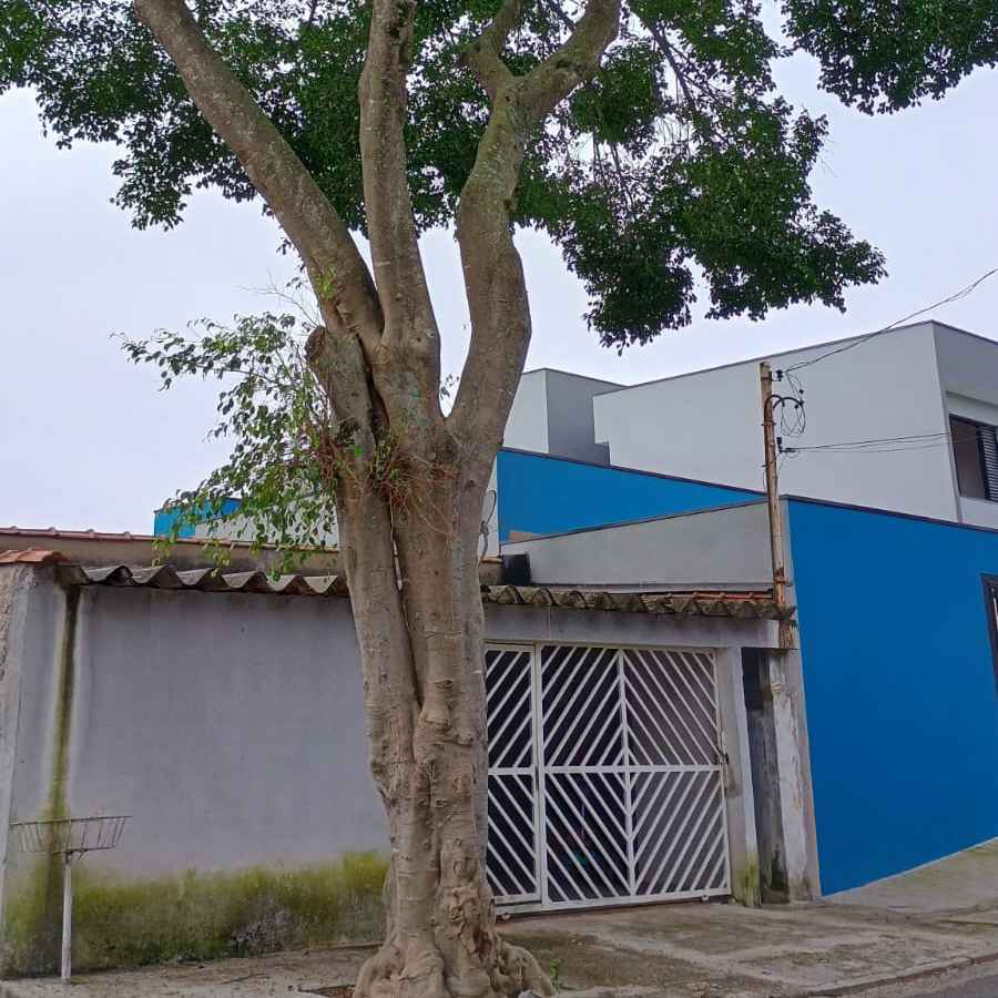 Imagem da publicação