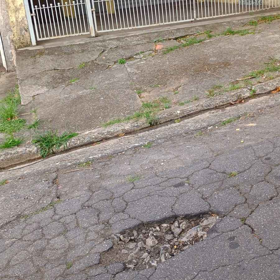 Imagem da publicação