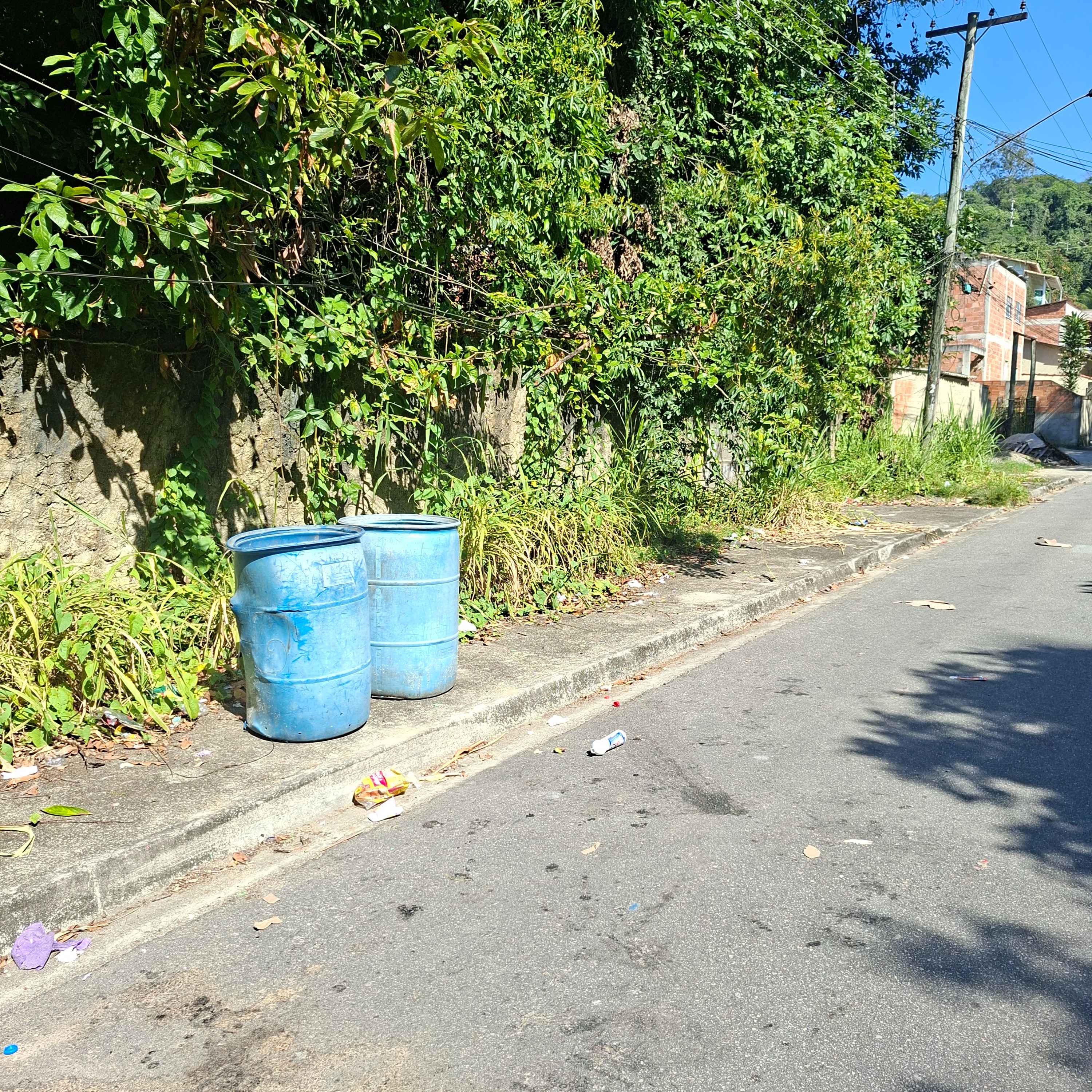 Imagem da publicação