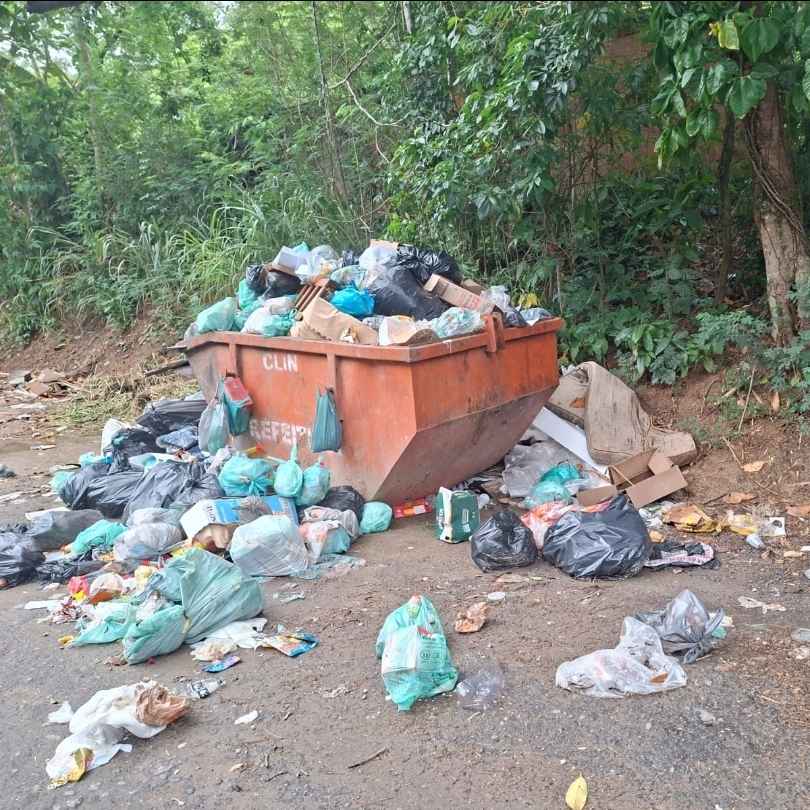 Imagem da publicação