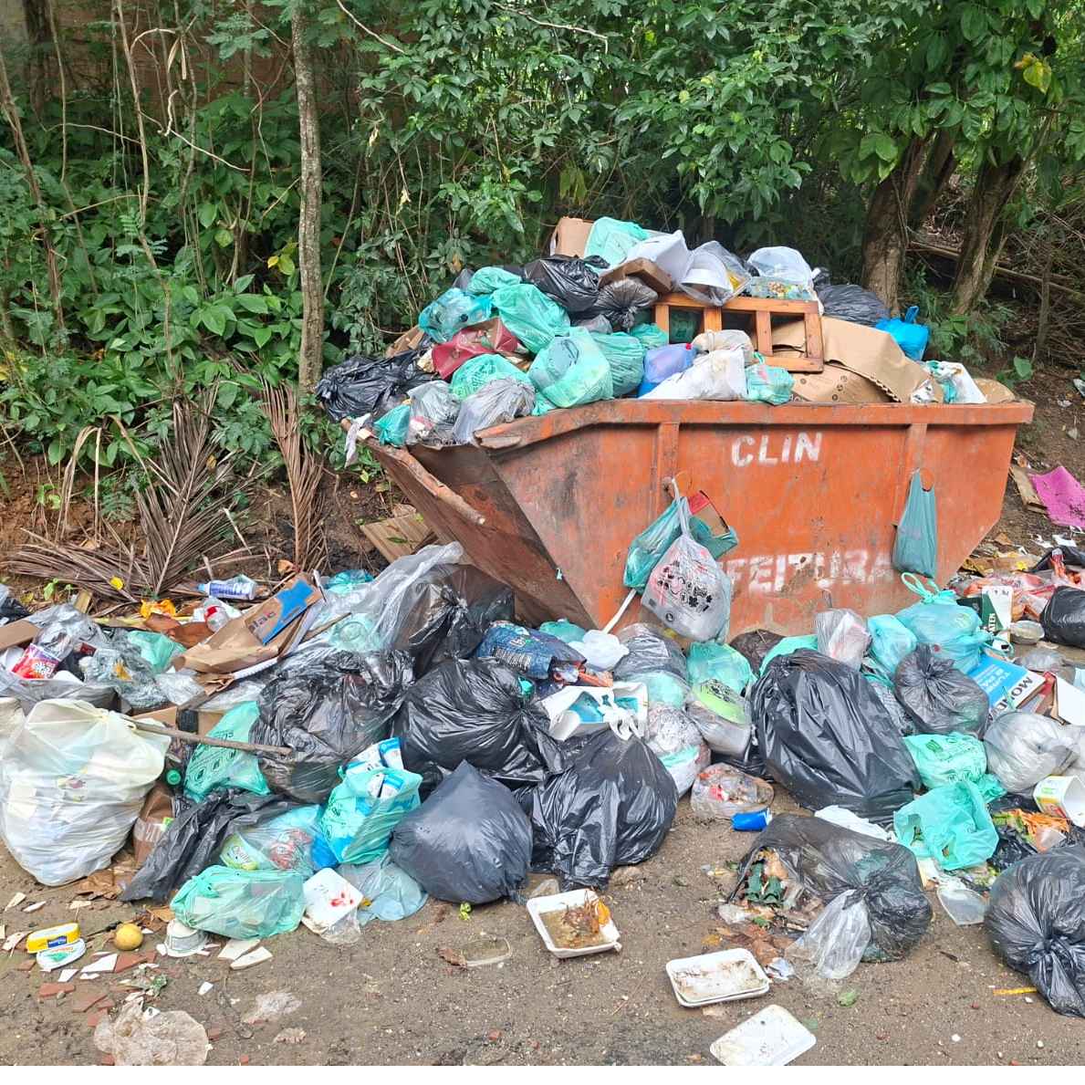 Imagem da publicação