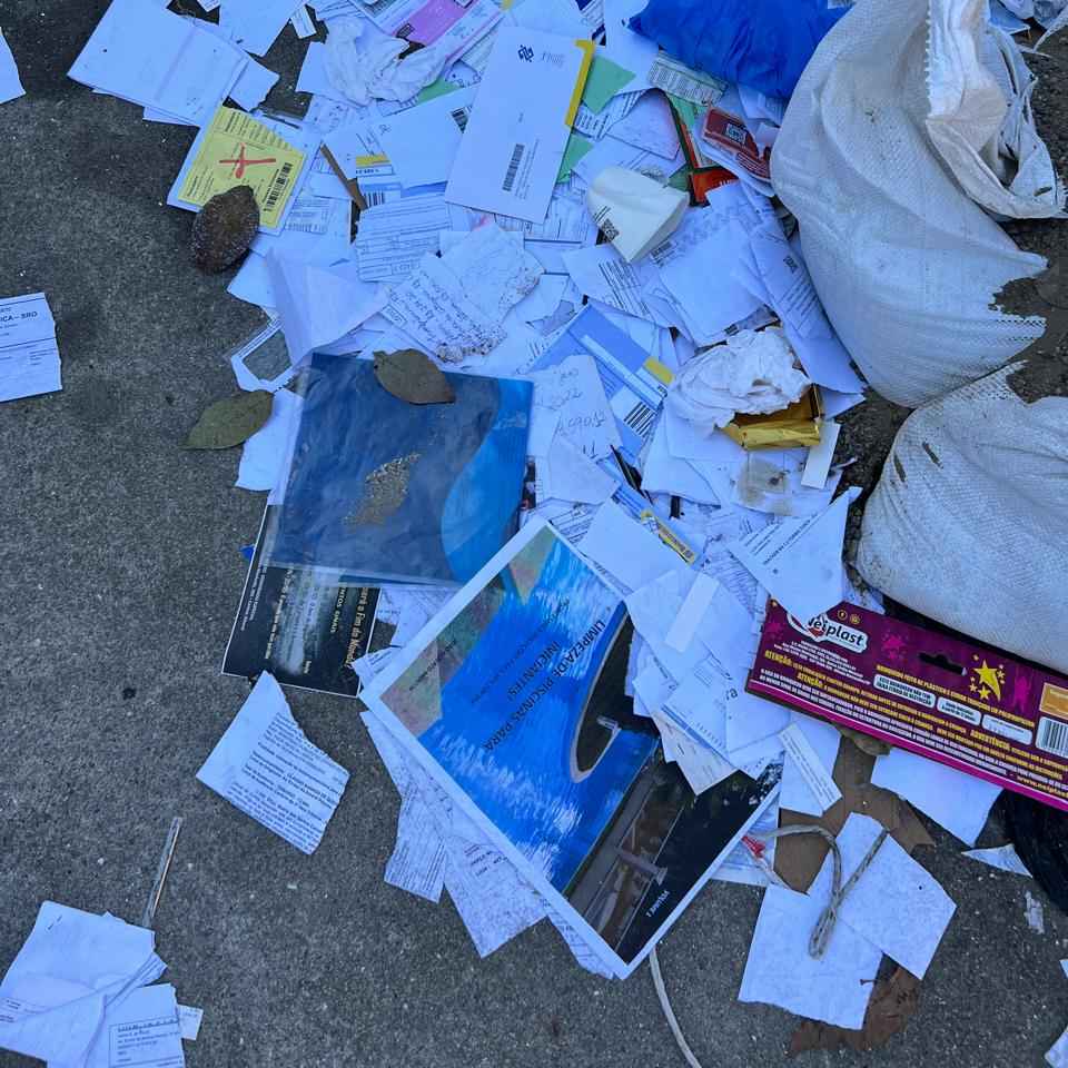 Imagem da publicação