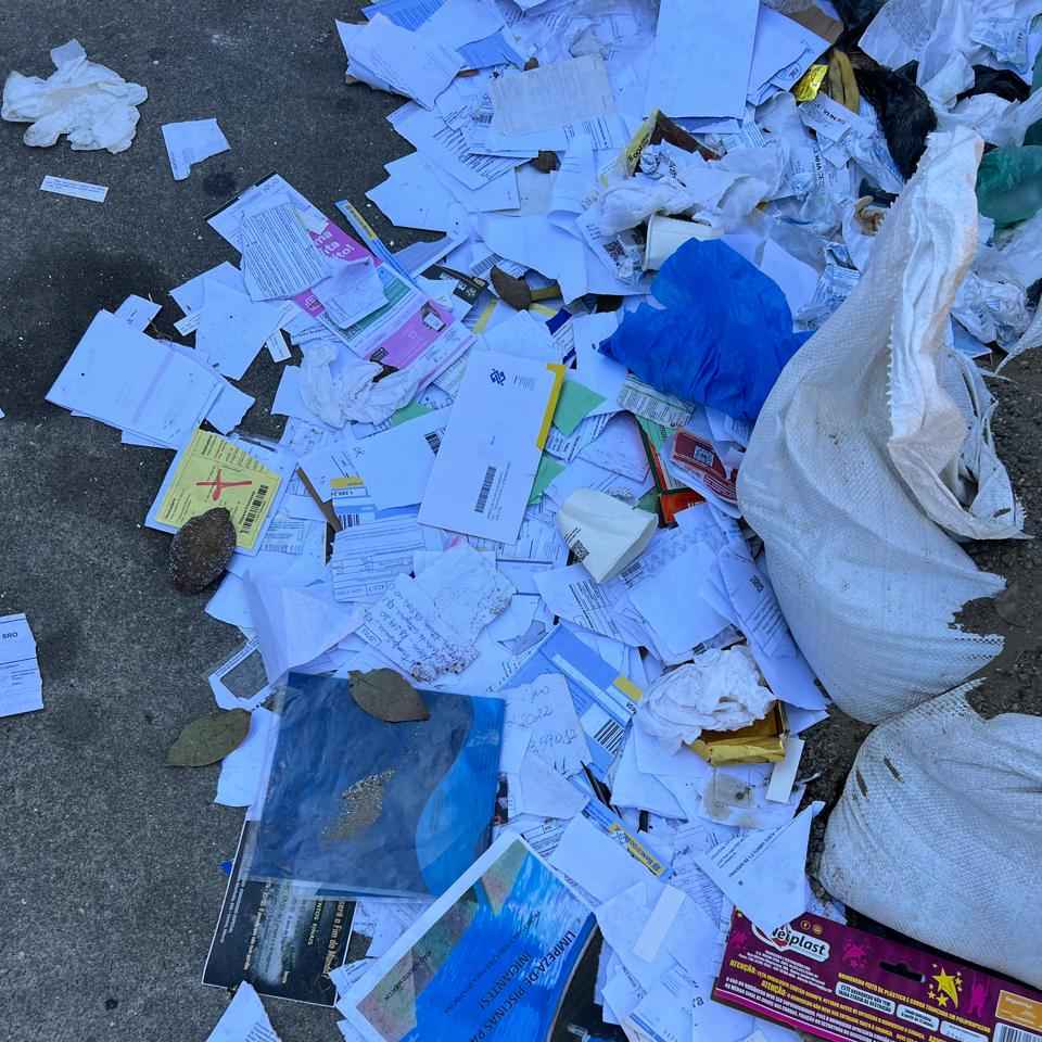 Imagem da publicação