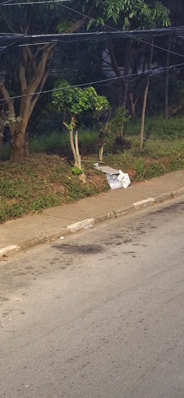 Imagem da publicação