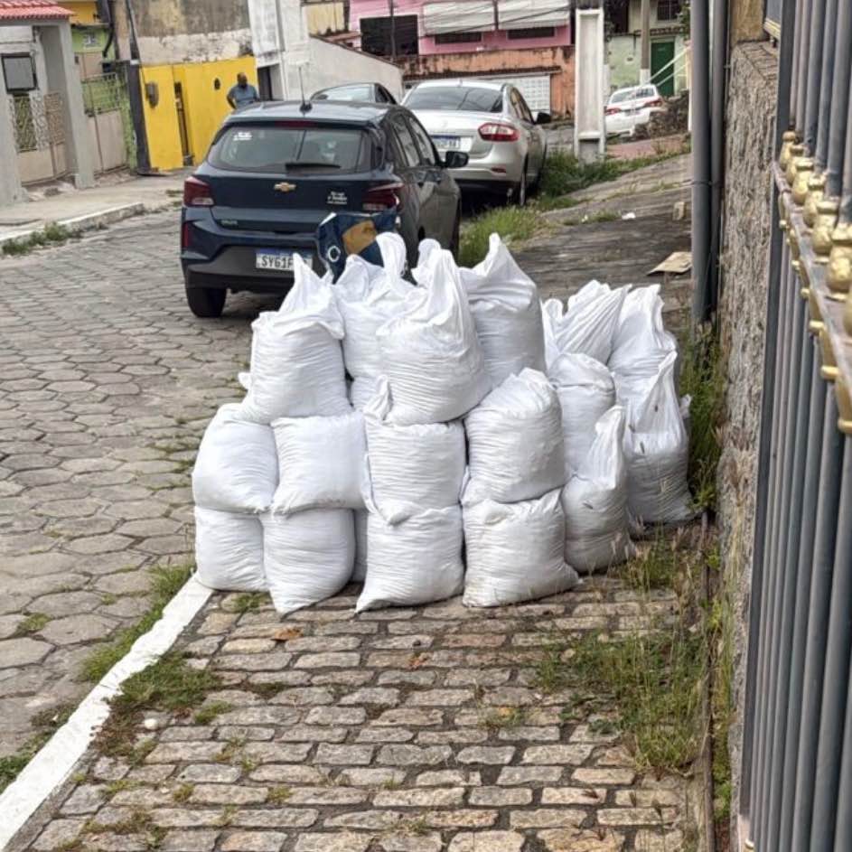 Imagem da publicação