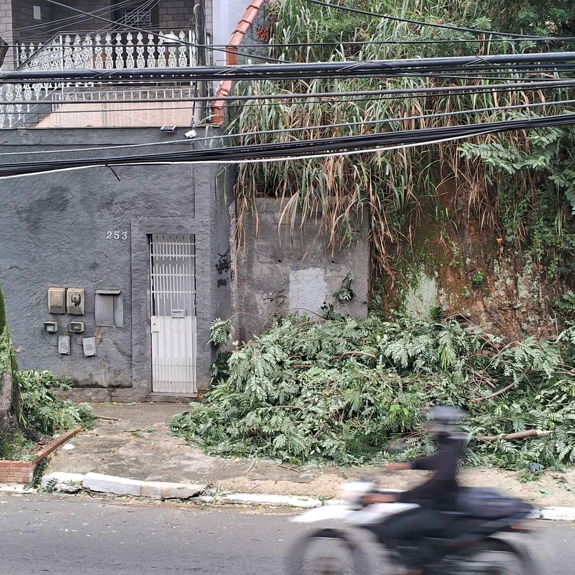 Imagem da publicação