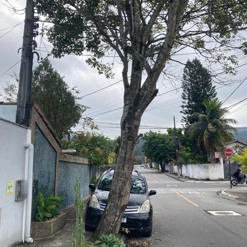 Imagem da publicação