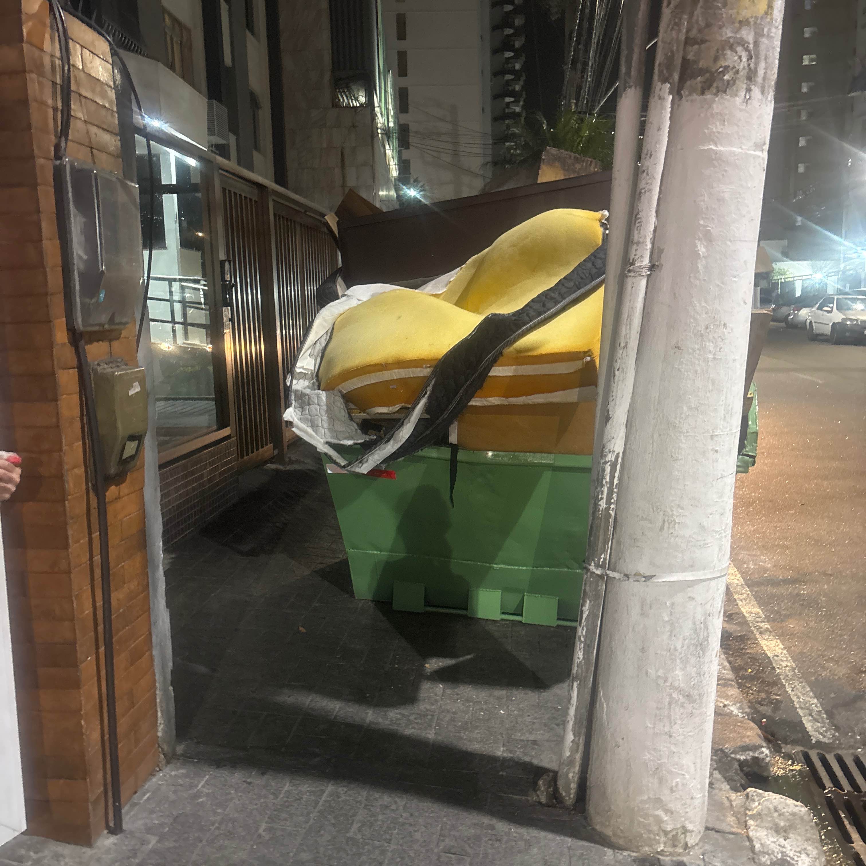 Imagem da publicação