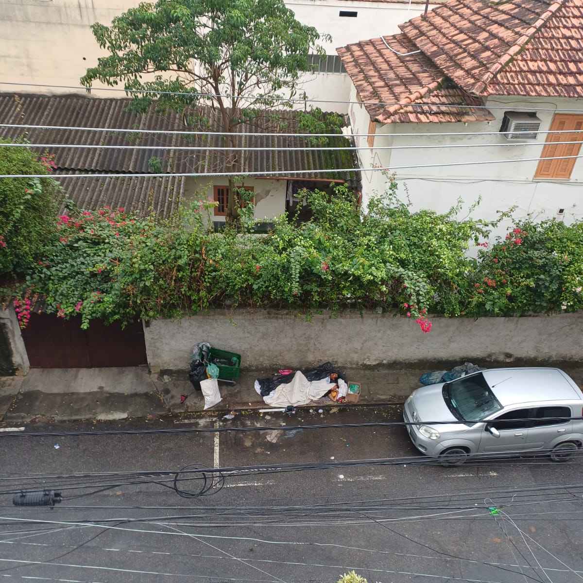 Imagem da publicação
