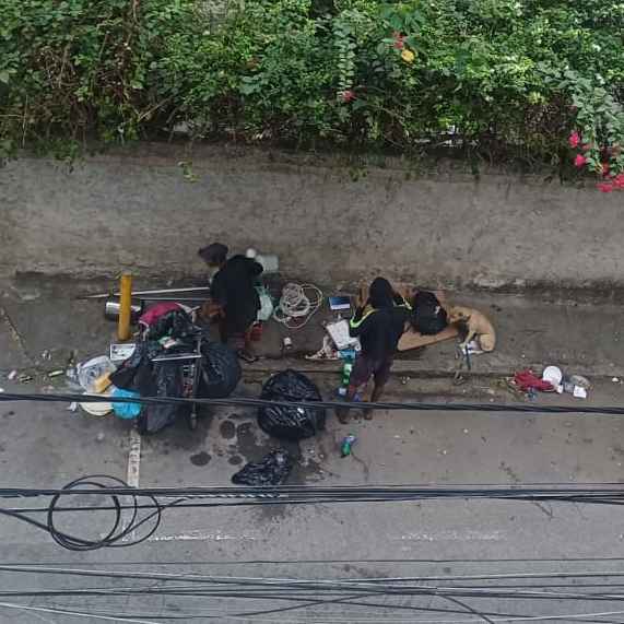 Imagem da publicação