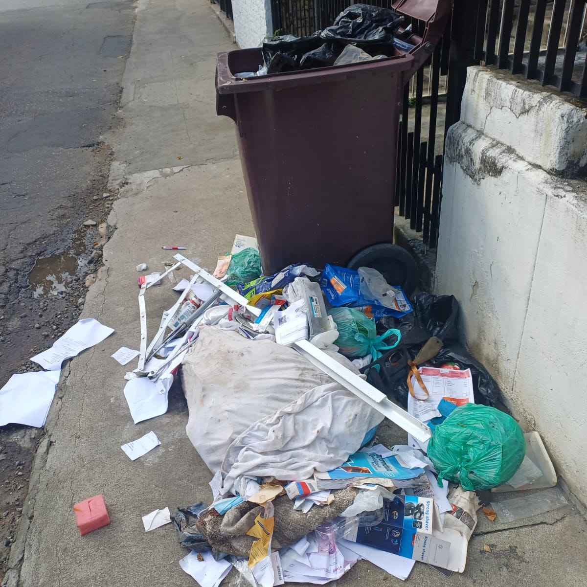 Imagem da publicação