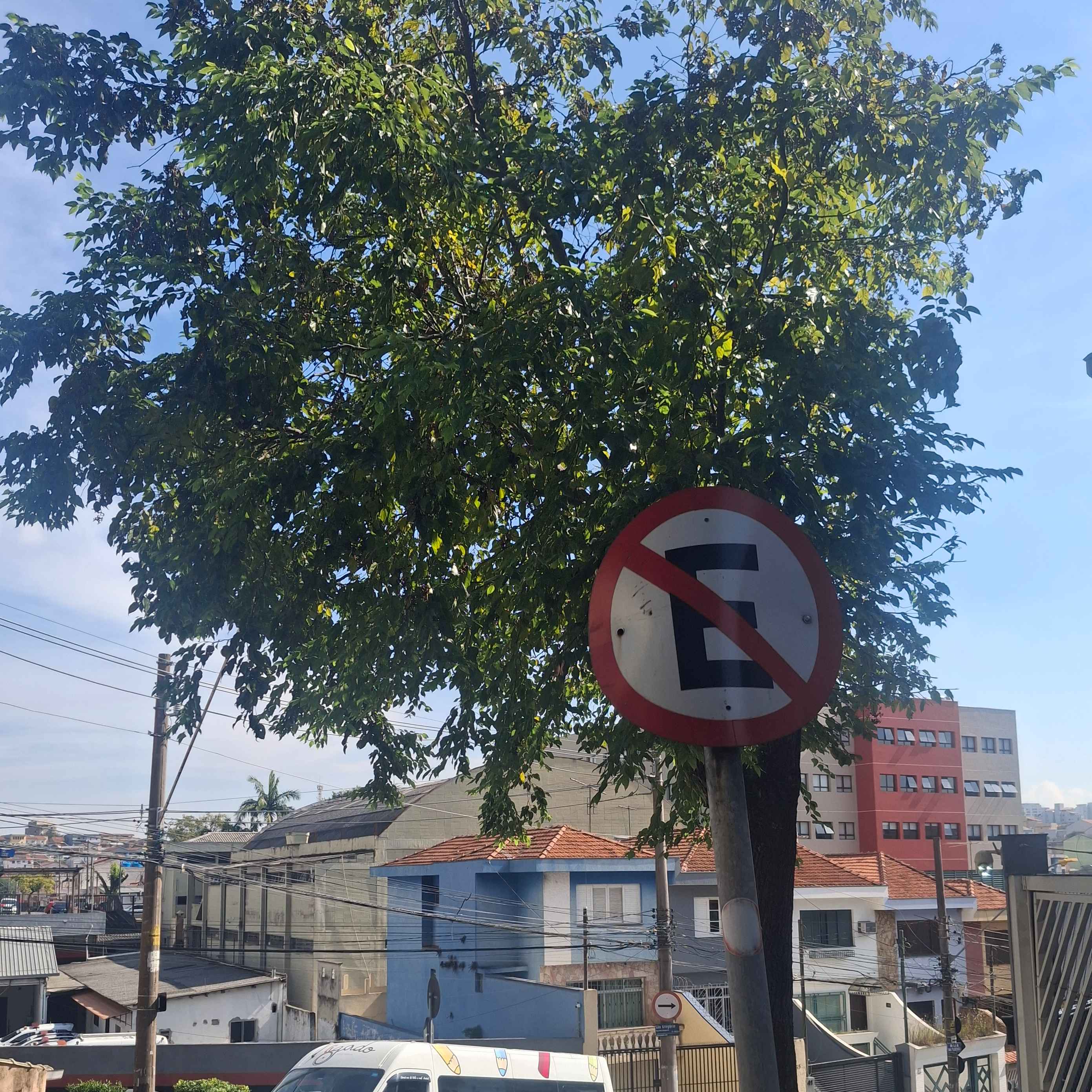 Imagem da publicação