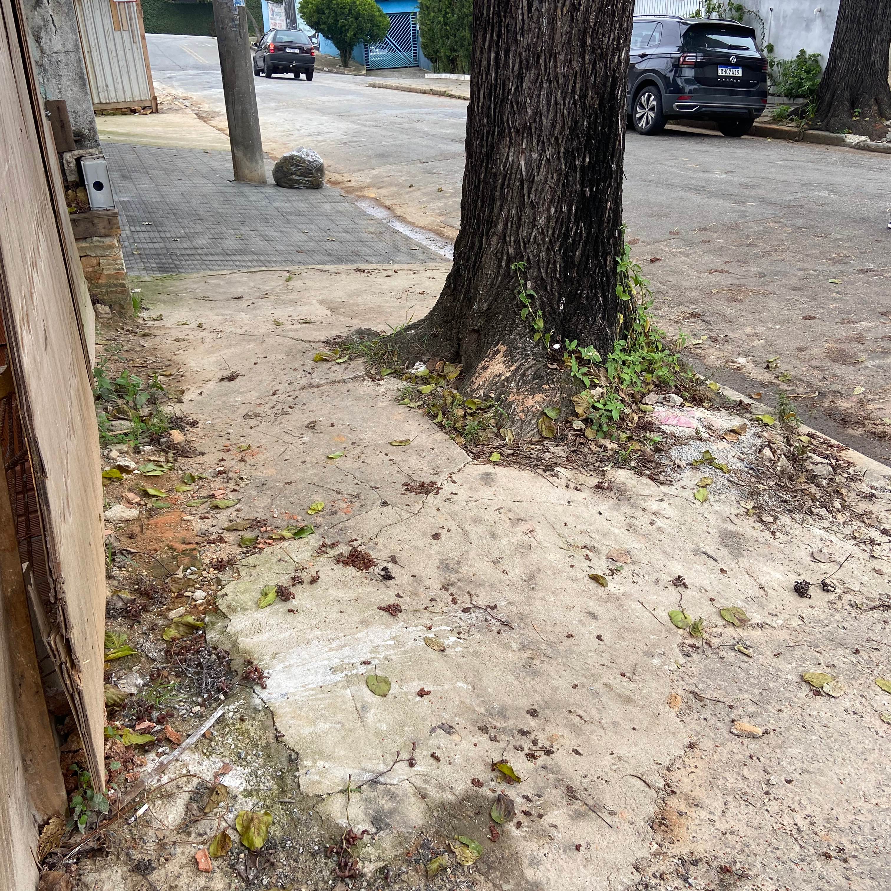Imagem da publicação