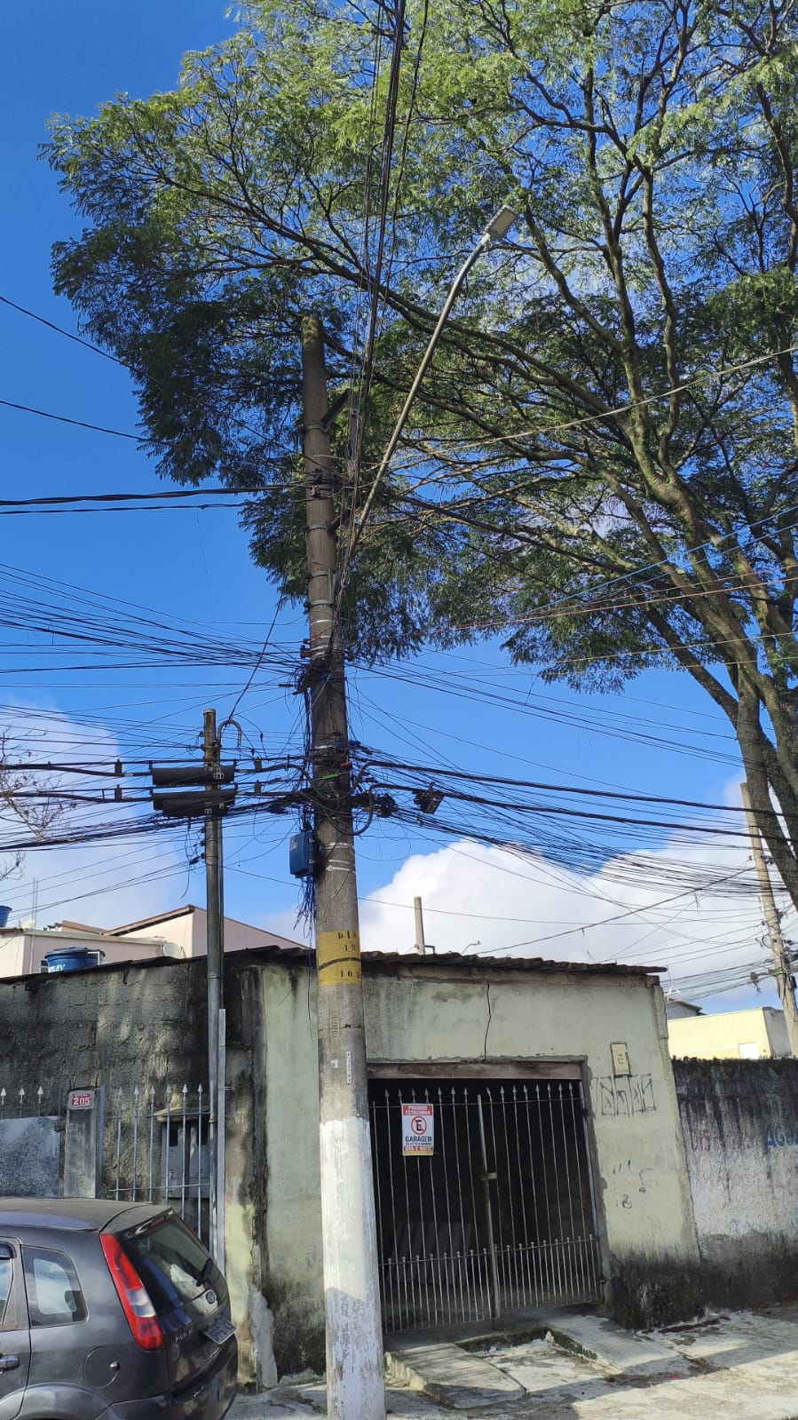 Imagem da publicação