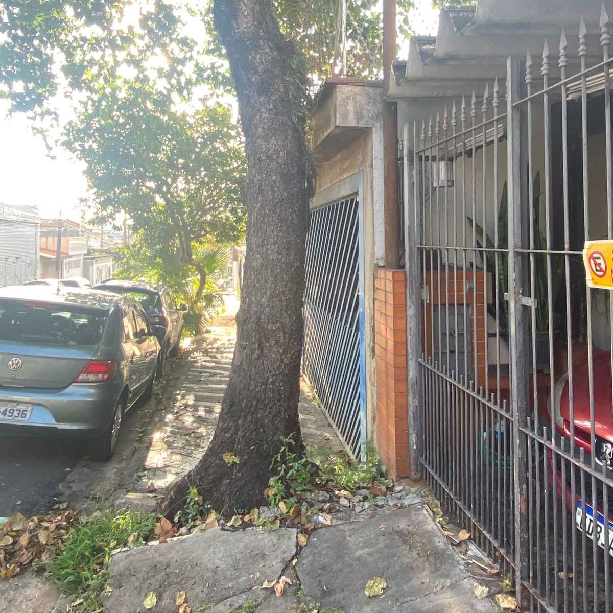 Imagem da publicação