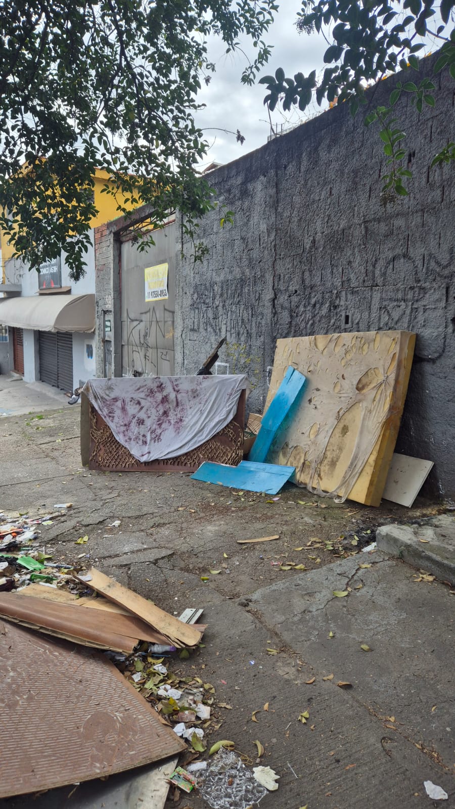 Imagem da publicação