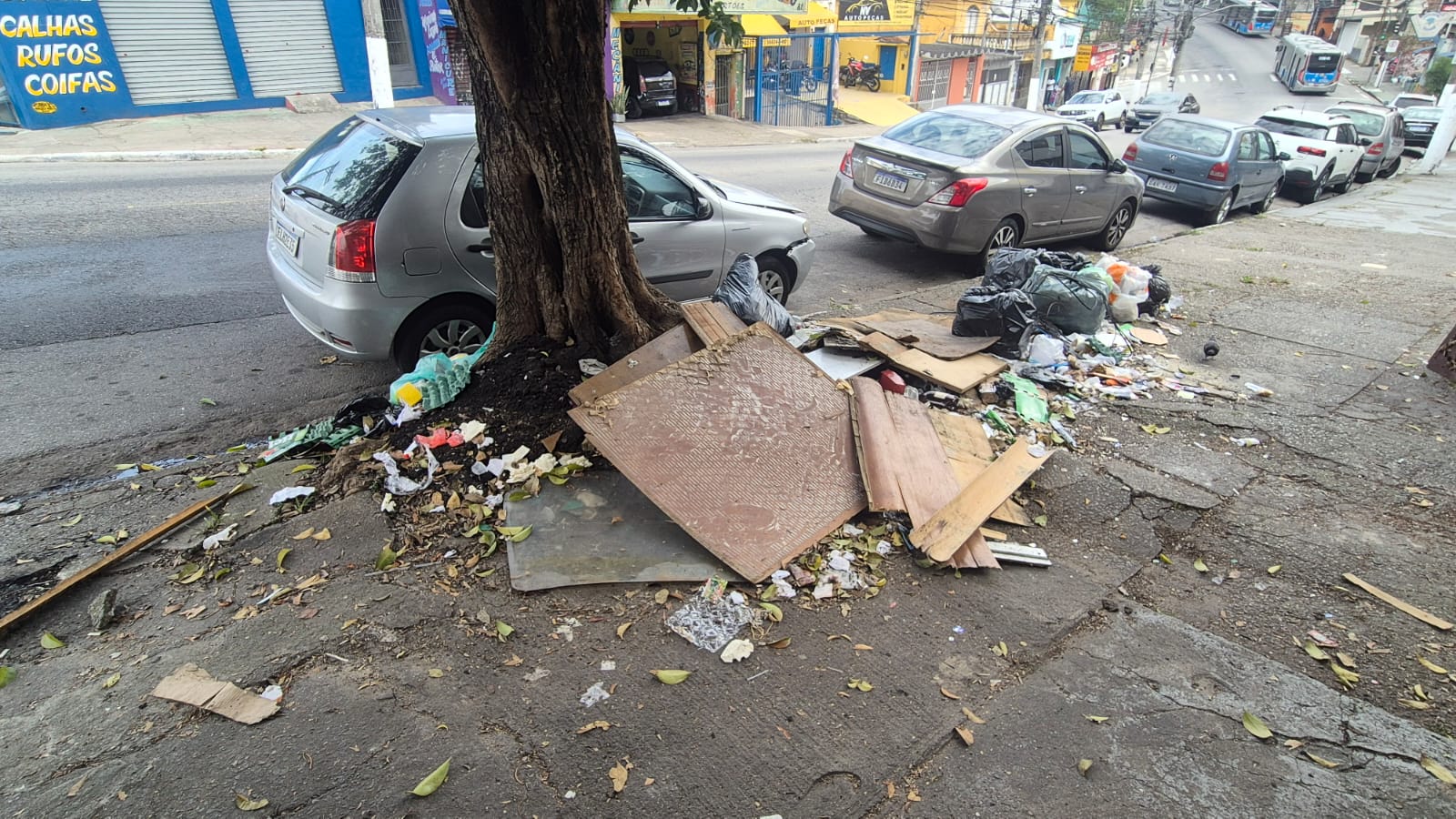 Imagem da publicação