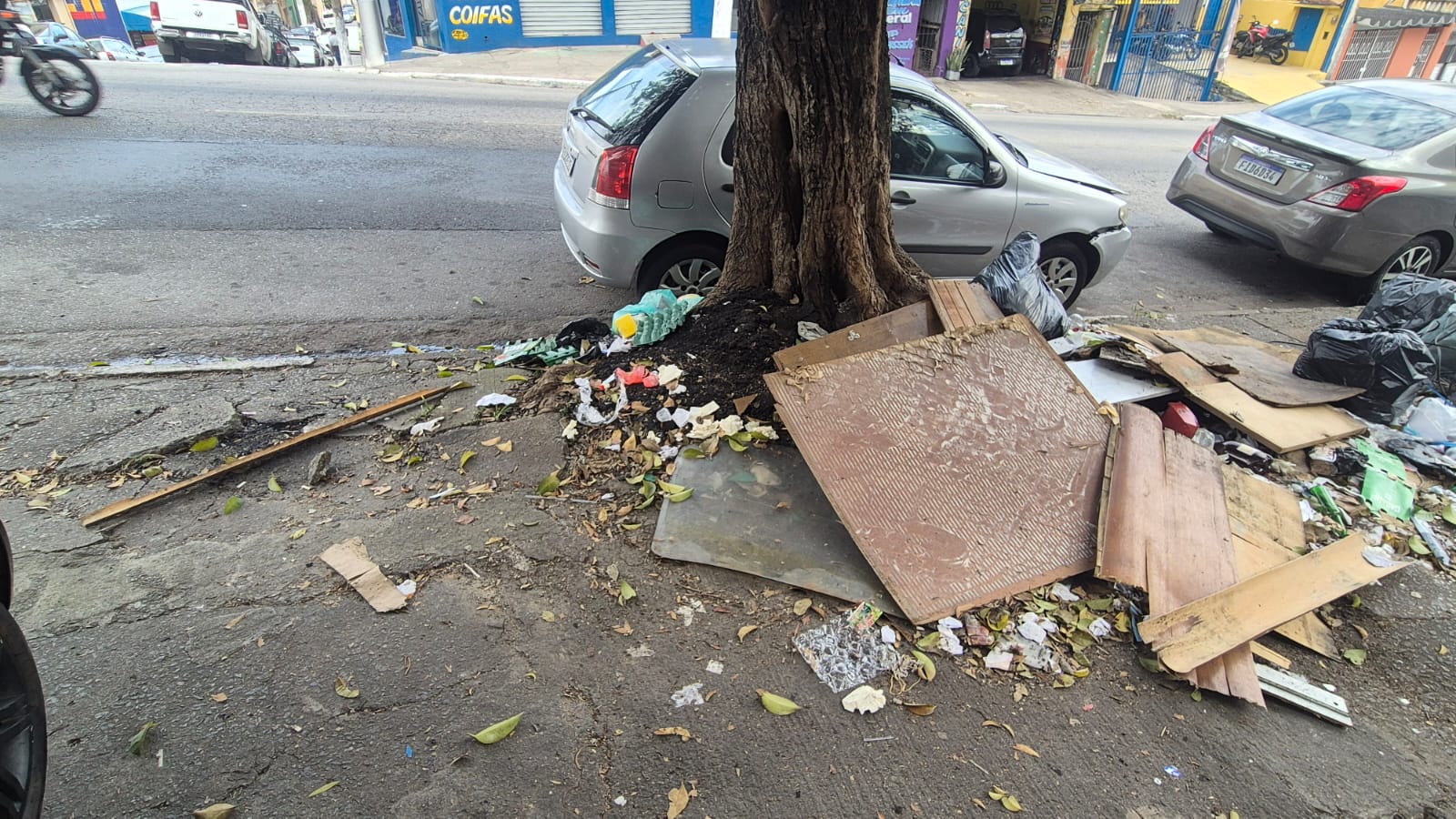 Imagem da publicação