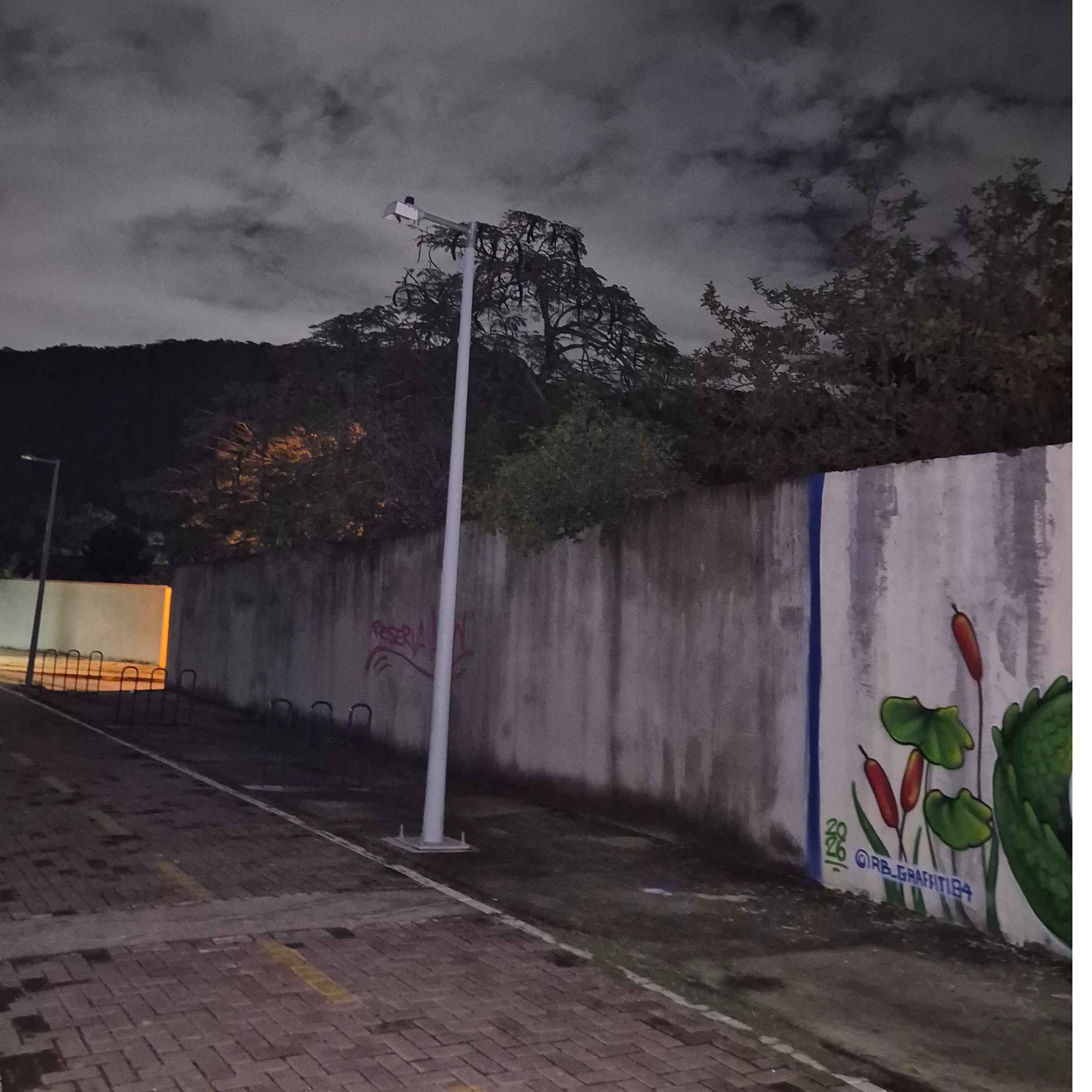 Imagem da publicação
