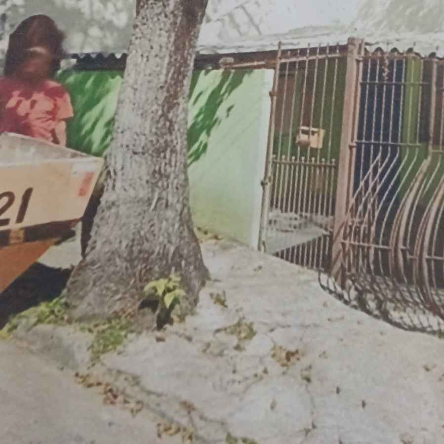 Imagem da publicação