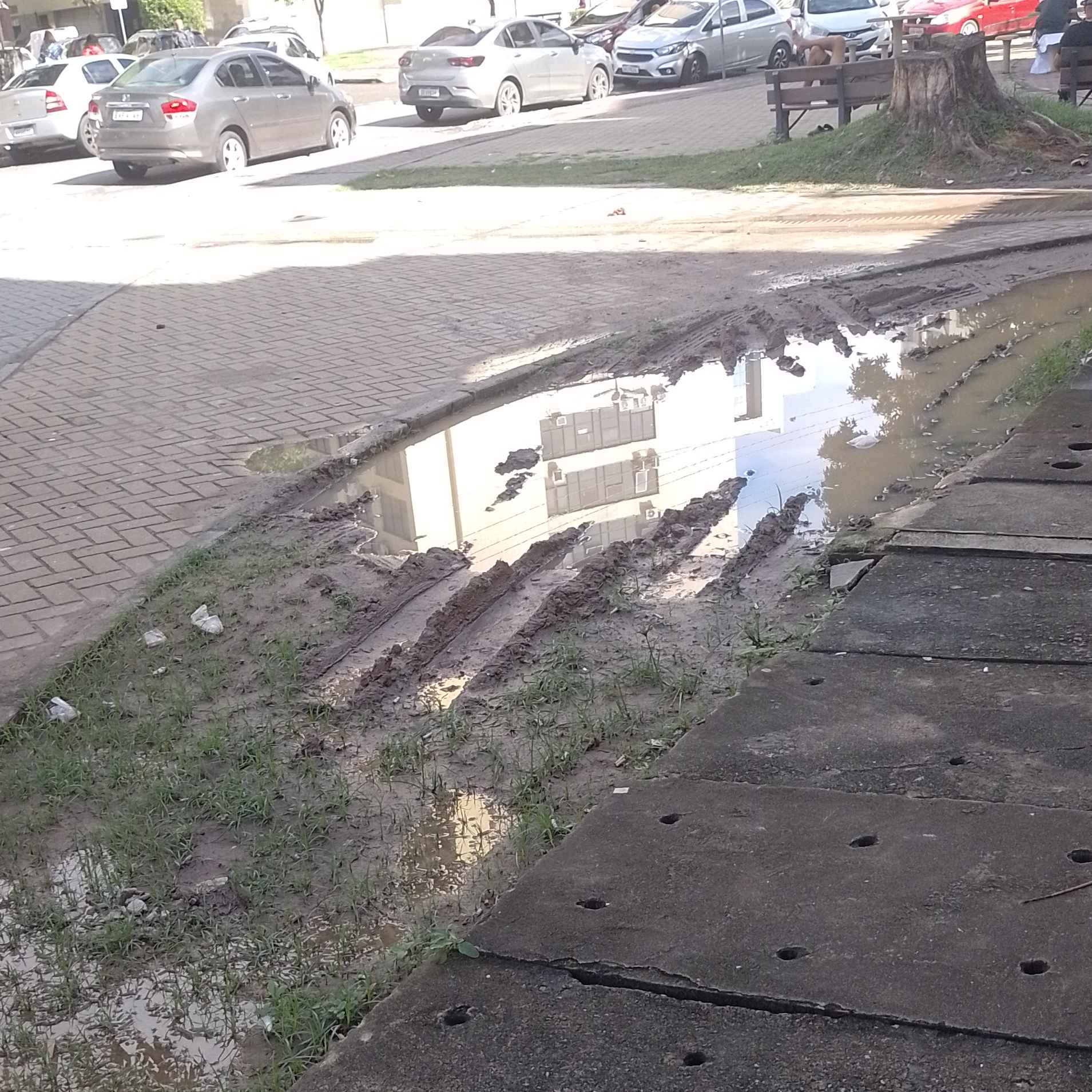 Imagem da publicação