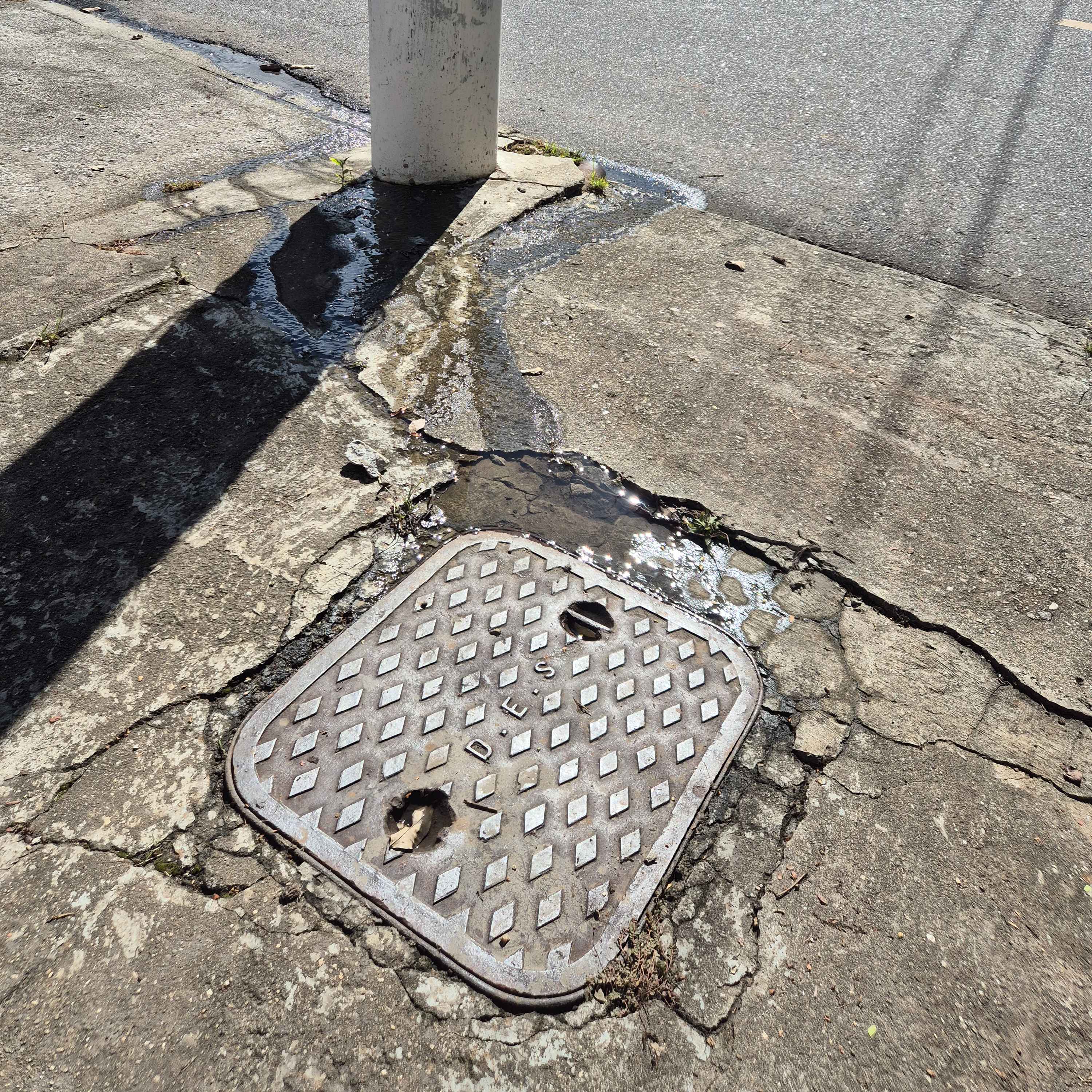 Imagem da publicação