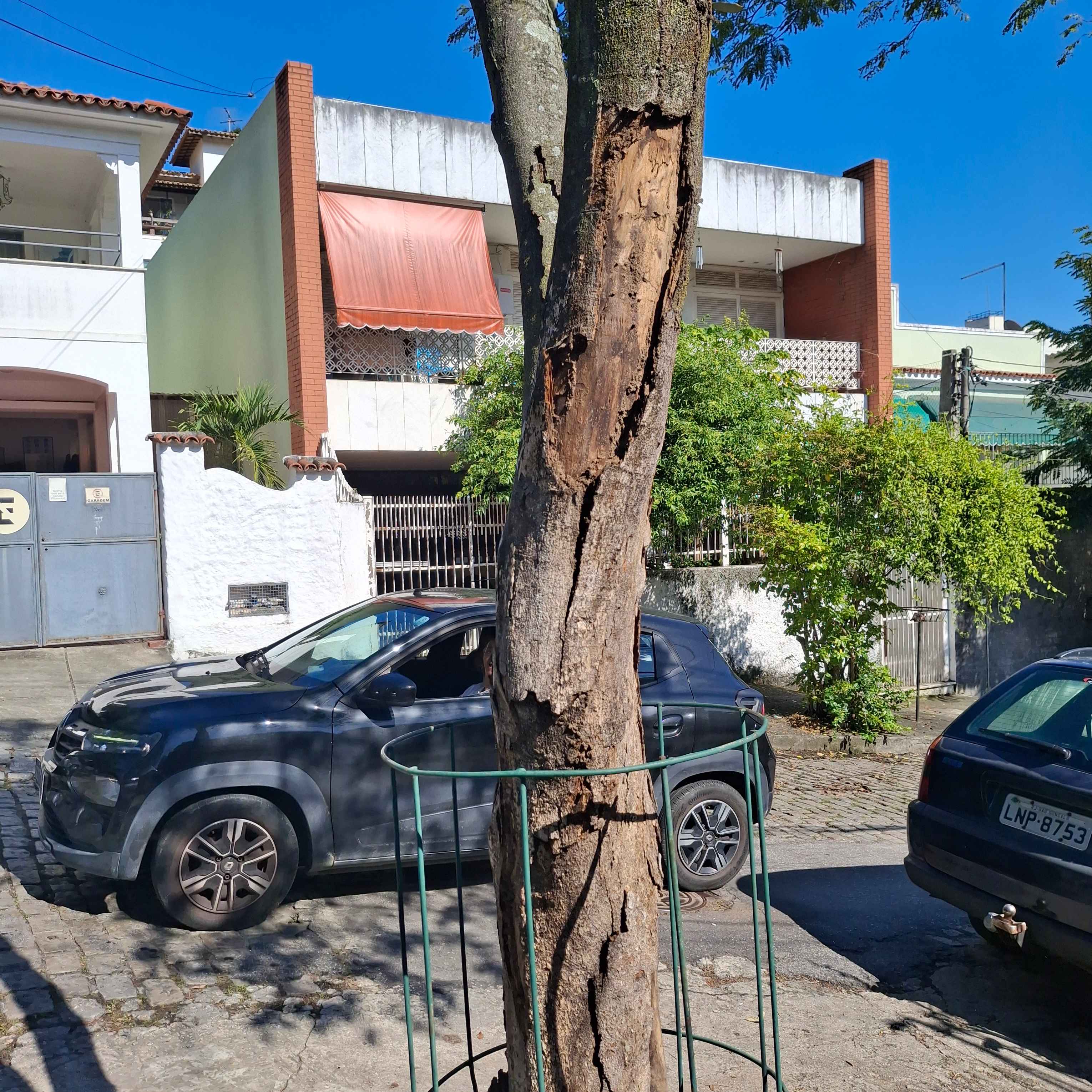 Imagem da publicação