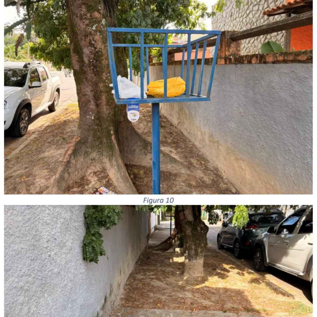 Imagem da publicação